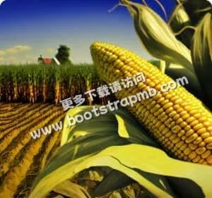 打破语言壁垒，畅享全球体育盛宴 - NG28