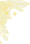 200+ - NG28