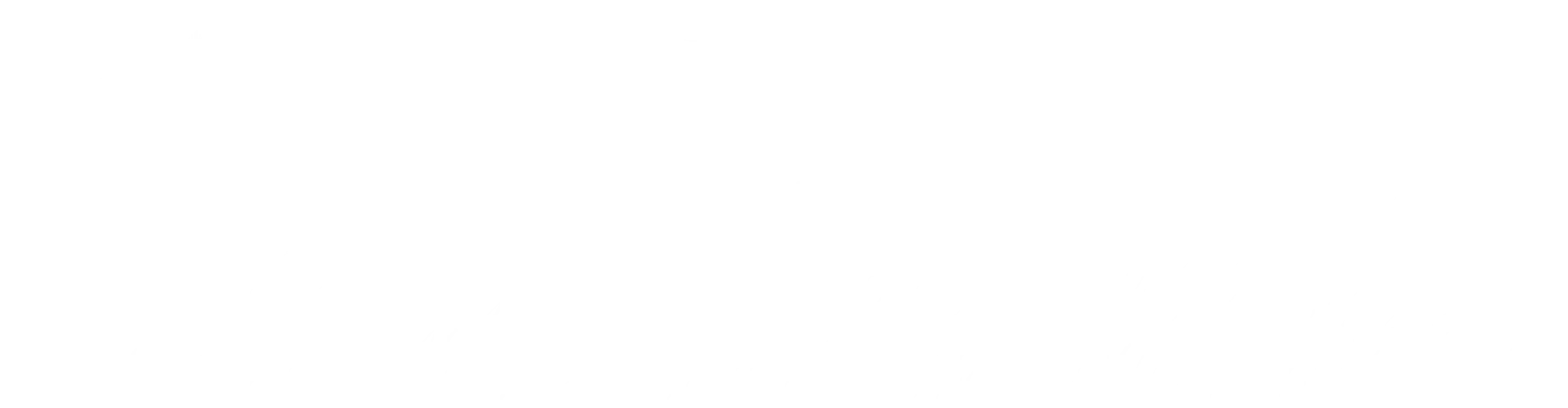 专业服务承诺 - NG28